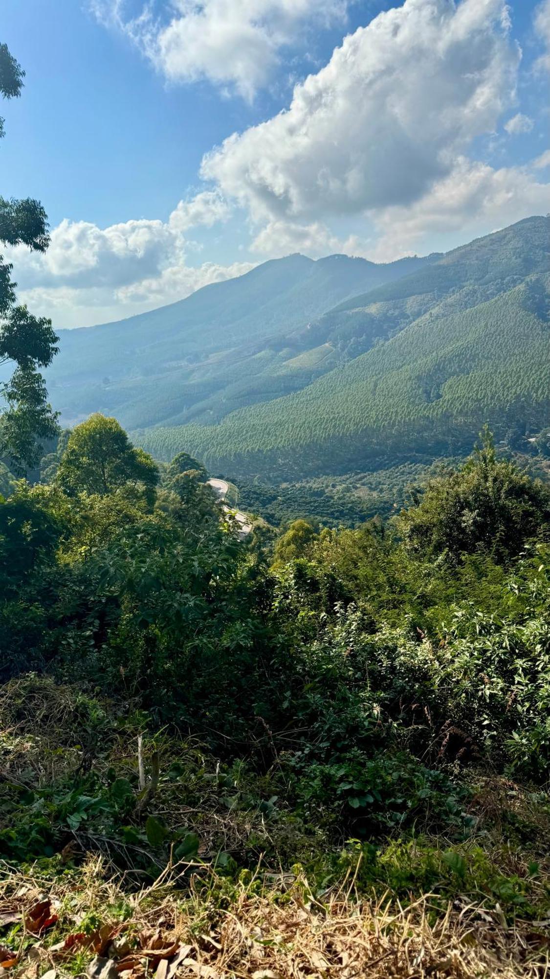 Magoebaskloof Mountain Lodge Tzaneen Bagian luar foto